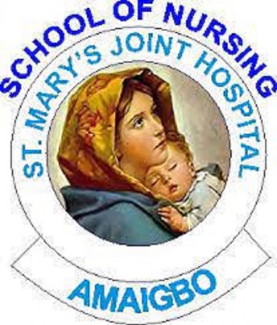 school-of-nursing-amaigbo-imo-state-20212022-session-admission-forms-are-on-sales-big-0