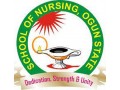 school-of-nursing-ilaroogun-state-20212022-session-admission-forms-are-on-sales-small-0