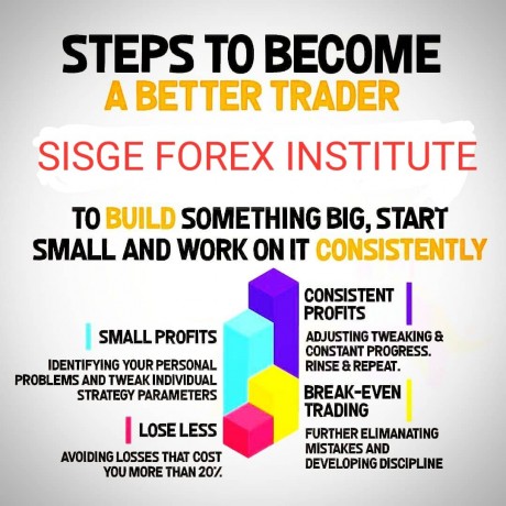 be-a-professional-forex-trader-at-sisge-forex-institute-big-0