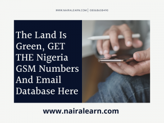 GET THE Nigeria GSM Numbers And Email Database Here