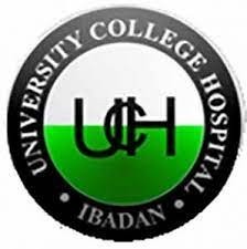 school-of-nursing-university-college-hospital-ibadan-20212022-session-admission-forms-are-on-sales-big-0