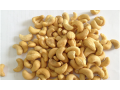 vietnamese-cashew-nut-kernels-sw320-small-0