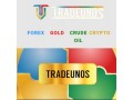 make-extra-income-join-our-free-1-hour-tradeunos-forex-gold-crude-cryptocurrency-seminar-small-0