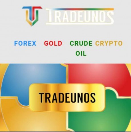 make-extra-income-join-our-free-1-hour-tradeunos-forex-gold-crude-cryptocurrency-seminar-big-0