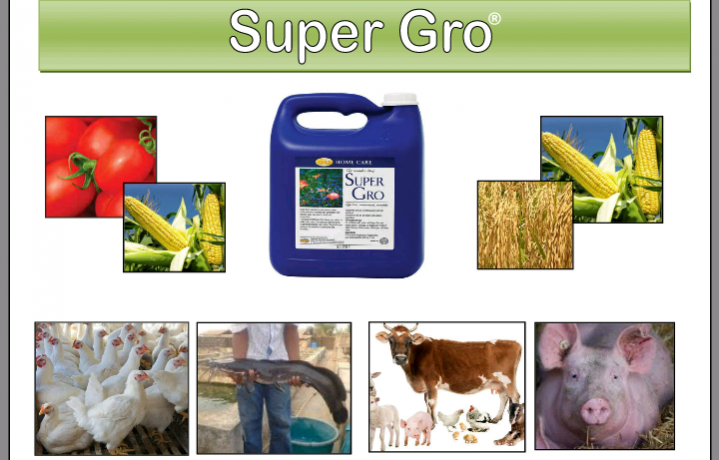 super-gro-liquid-fertilizer-big-0