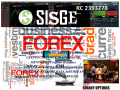 learn-professional-forex-trading-at-sisge-institute-small-0