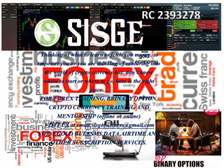 LEARN PROFESSIONAL FOREX TRADING AT SISGE INSTITUTE