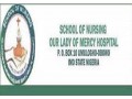 school-of-nursing-umuloghoimo-state-20212022-session-admission-forms-are-on-sales-small-0