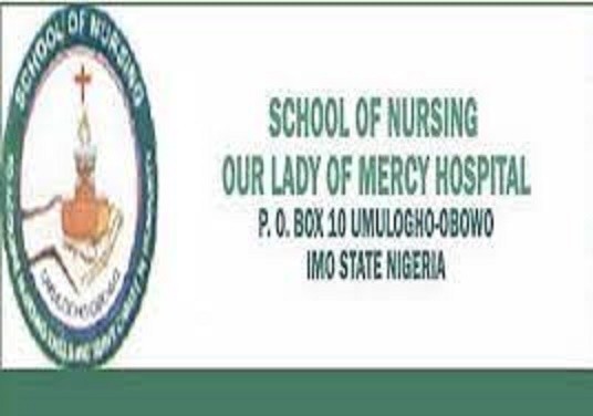 school-of-nursing-umuloghoimo-state-20212022-session-admission-forms-are-on-sales-big-0