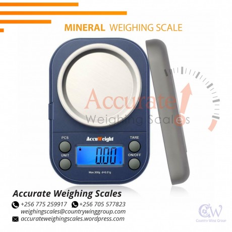 1000g-0-1g-digital-scale-balance-weighing-tools-portable-mineral-in-wandegeya256-0-705-577-823-256-0-775-259-917-big-0