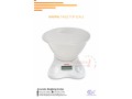 suppliers-of-standard-digital-counting-tabletop-scales-for-trade-bulenga-kampala-256-0-705-577-823-256-0-775-259-917-small-0