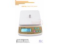 counting-scales-with-minimum-capacity-of-1g-256-0-705-577-823-256-0-775-259-917-small-0