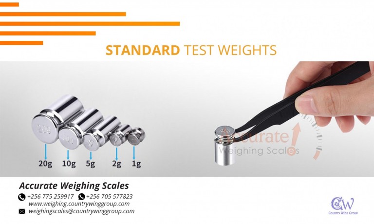 256-0-775-259-917-cast-iron-material-grip-handle-weights-with-smooth-surface-finish-for-platform-scales-service-namanve-big-0