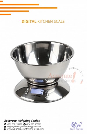 256-705577823-waterproof-weighing-scale-with-transparent-dust-cover-for-sell-jinja-big-8