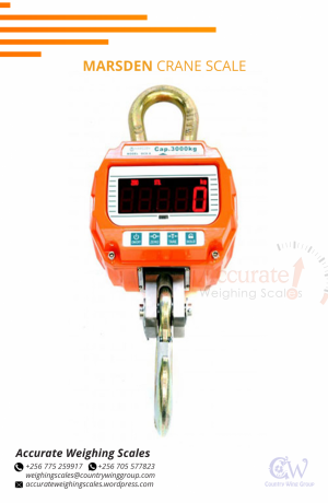 heavy-duty-digital-crane-weighing-scale-with-portable-bluetooth-printer-from-sole-distributor-256-705577823-big-0