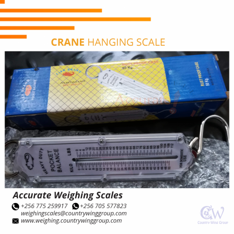 256-705577823-digital-crane-weighing-scale-with-optional-hanging-pan-for-commercial-use-busia-big-3