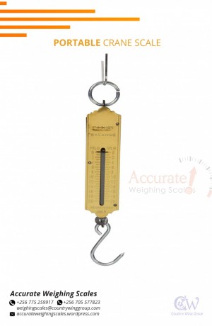 256-705577823-digital-crane-weighing-scale-with-optional-hanging-pan-for-commercial-use-busia-big-6