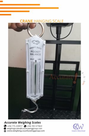 256-705577823-digital-crane-weighing-scale-with-optional-hanging-pan-for-commercial-use-busia-big-0