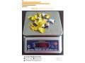 256-705577823-waterproof-weighing-scale-perfect-for-fish-processing-fields-kasenyi-small-8