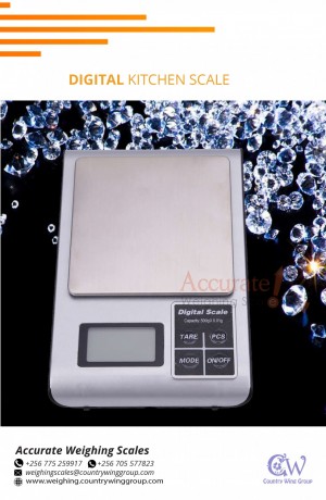 256-705577823-waterproof-weighing-scale-perfect-for-fish-processing-fields-kasenyi-big-9