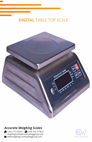 256-705577823-waterproof-weighing-scale-perfect-for-fish-processing-fields-kasenyi-big-5