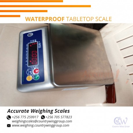 256-705577823-improved-washdown-weighing-with-double-led-backlit-for-sell-kampala-big-3