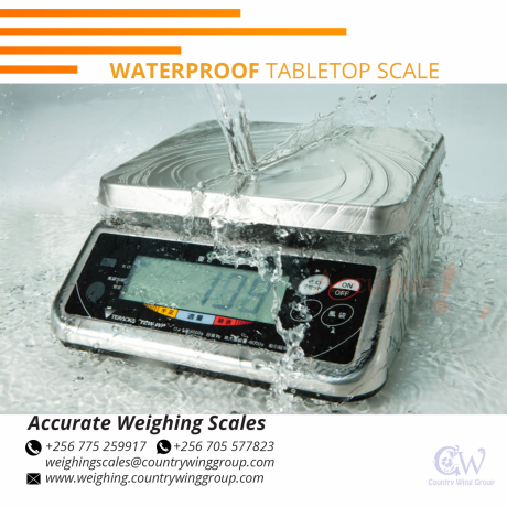 256-705577823-industrial-class-design-waterproof-weighing-scale-prices-from-importer-uganda-big-3