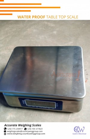 256-705577823-industrial-class-design-waterproof-weighing-scale-prices-from-importer-uganda-big-5