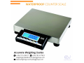 256-705577823-50g-divisions-digital-bench-weighing-scale-with-dry-cell-batteries-at-affordable-prices-jinja-small-4