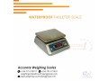 256-705577823-50g-divisions-digital-bench-weighing-scale-with-dry-cell-batteries-at-affordable-prices-jinja-small-0