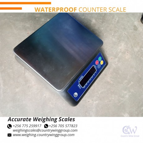 256-705577823-50g-divisions-digital-bench-weighing-scale-with-dry-cell-batteries-at-affordable-prices-jinja-big-8