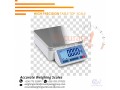 analytical-balance-of-80mm-stainless-steel-pan-dimensions-for-commercial-use-jinja-256-775259917-small-3