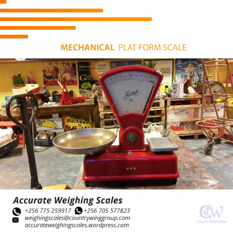 platform-weighing-scale-with-a-wide-stainless-steel-column-and-plate-256-705577823-big-1