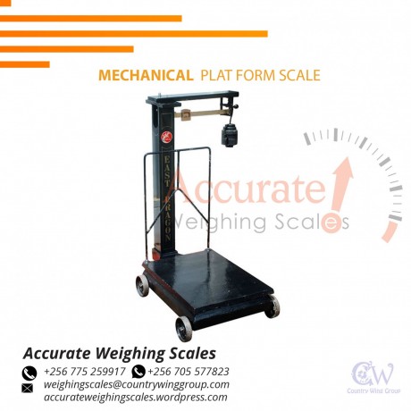 platform-weighing-scale-with-a-wide-stainless-steel-column-and-plate-256-705577823-big-0