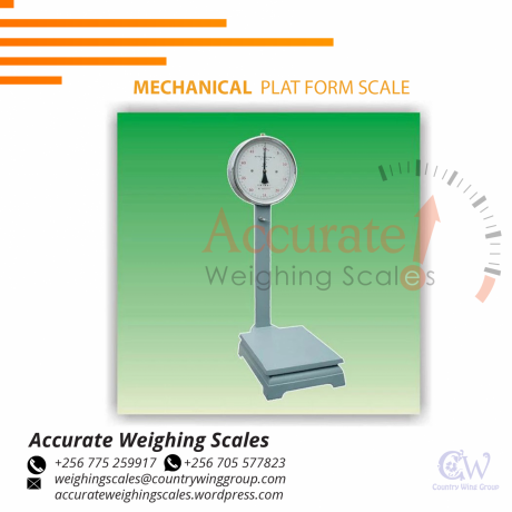 platform-weighing-scale-with-a-wide-stainless-steel-column-and-plate-256-705577823-big-4