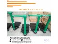 leading-supplier-of-platform-weighing-scales-in-kampala-uganda-256-705577823-small-2