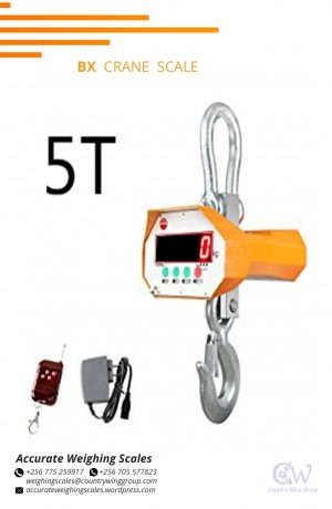 256-775259917-digital-bx-crane-weighing-scale-with-one-face-at-affordable-prices-wandegeya-kampala-big-7