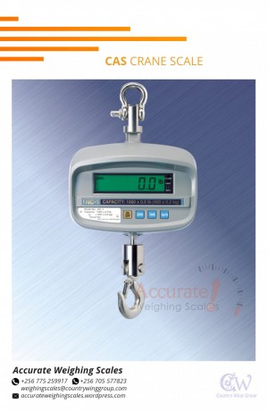 256-775259917-digital-bx-crane-weighing-scale-with-one-face-at-affordable-prices-wandegeya-kampala-big-5