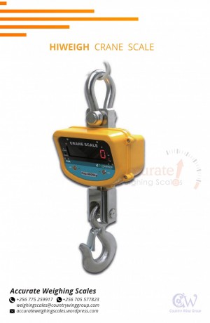 256-775259917-digital-bx-crane-weighing-scale-with-one-face-at-affordable-prices-wandegeya-kampala-big-2