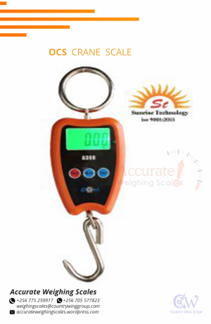 256-705577823-cas-digital-crane-weighing-scales-with-aluminum-alloy-housing-up-for-grabs-from-supplier-shop-big-8