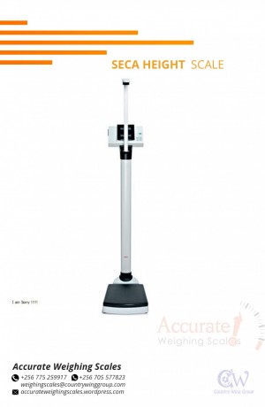 health-height-scale-with-200cm-height-rod-at-wholesaler-256-705577823-big-6