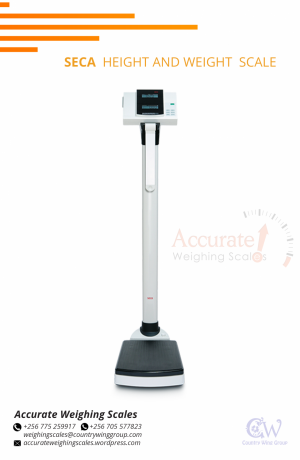 health-height-scale-with-200cm-height-rod-at-wholesaler-256-705577823-big-0