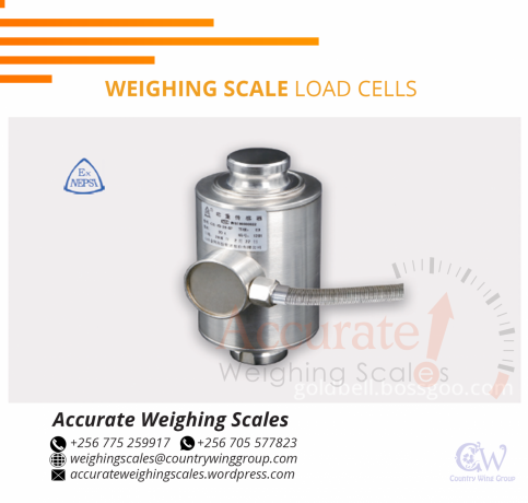 256-0-775-259-917-stainless-steel-weighing-loadcell-with-ip68-protection-for-wet-environments-from-supplier-uganda-big-1