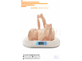 256-0-775-259-917-digital-baby-scales-with-20kg-weight-capacity-at-wholesaler-call-256-775259917-small-3