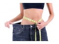 loss-weight-fast-and-diet-plans-small-2