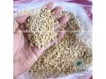 vietnamese-cashew-nut-kernels-bb-small-0